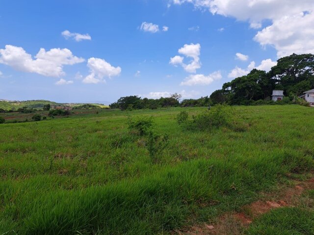 11 Acres Land Investment Opportunity