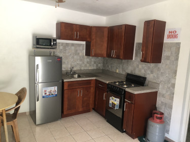 1 Bedroom Furnished Apt Greenwood