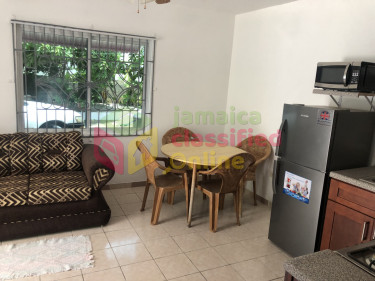 1 Bedroom Furnished Apt Greenwood