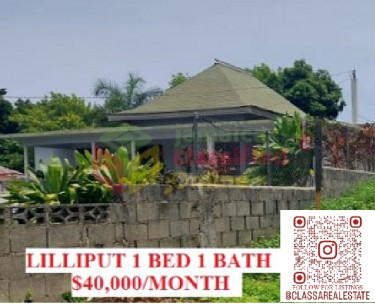 LILLIPUT 1 BED SECTION OF HOUSE $40,000