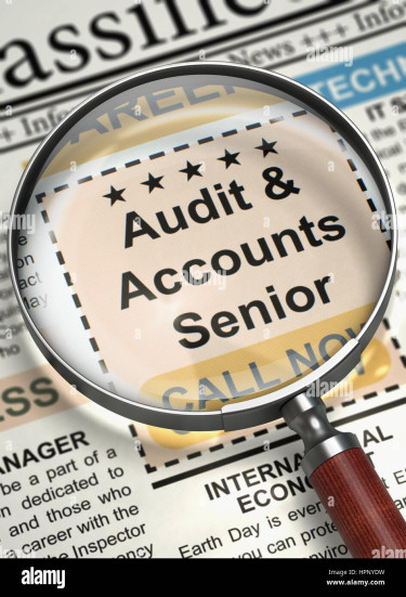 Audit Senior/ Finance Executive