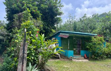 18.2 Acres Of Prime Land In Maiden Hall, St. Mary
