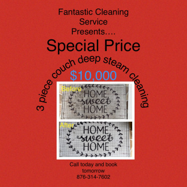 3 Piece Couch Steam Cleaning Special