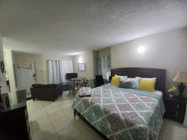 1 Bedroom Studio Furnished Apartment (Short Term)