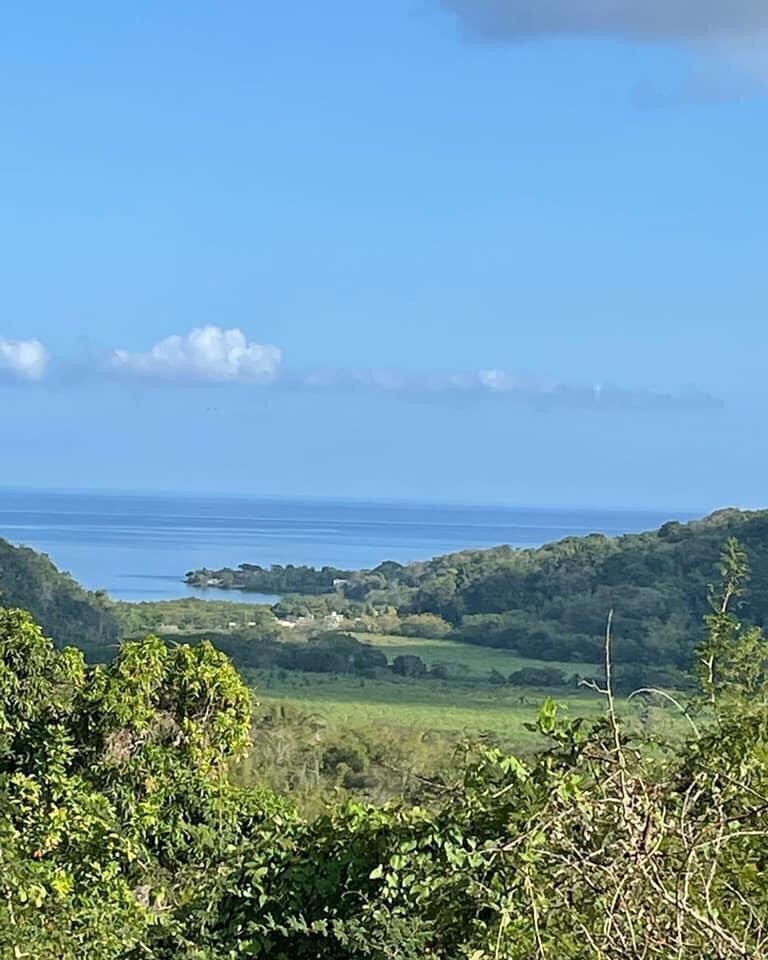 For Sale: 11 Acre Hill Top With Gentle Slope To River - Green Island