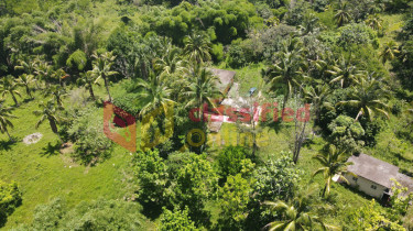 3.8 Acres Land + River, 3 Bed  2 Bath, Fruited