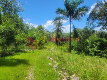 3.8 Acres Land + River, 3 Bed  2 Bath, Fruited