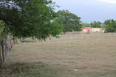 1 Acre Of Land For Sale 