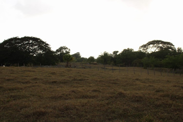1 Acre Of Land For Sale 