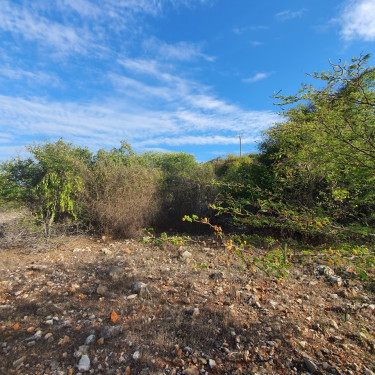 Land For Sale In Portmore