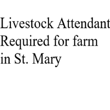 Livestock Attendant