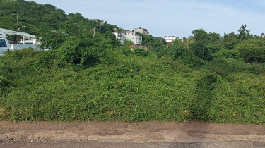 Land For Sale In St. Catherine 