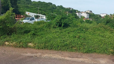 Land For Sale In St. Catherine 