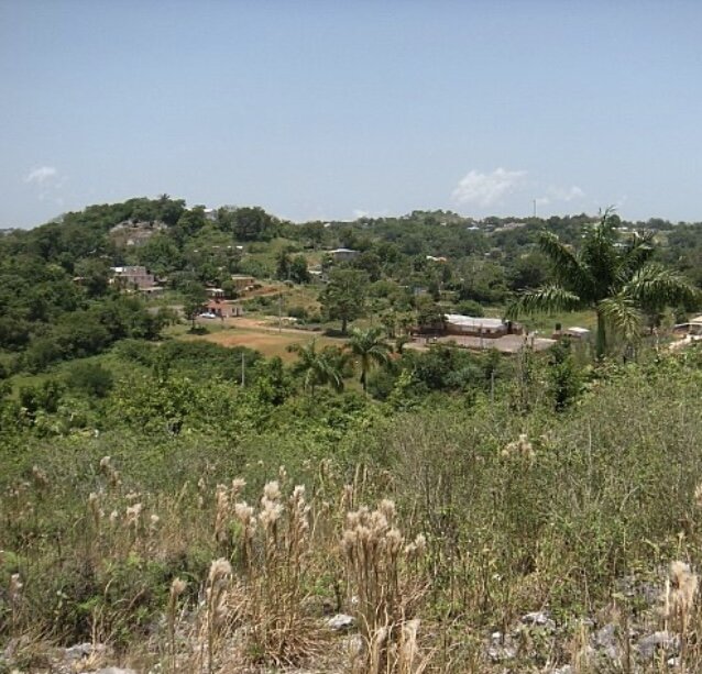Prime Land For Sale In Mandeville