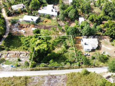 Land For Sale In Colegate, St. Ann