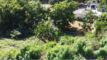 Land For Sale In St. Ann