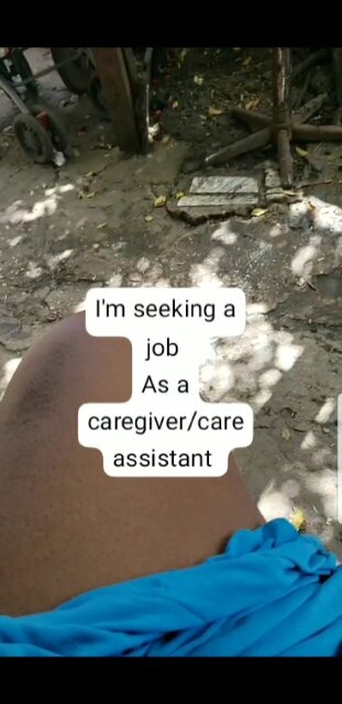 Seeking Job
