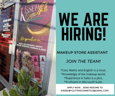 Makeup Store Assistant 