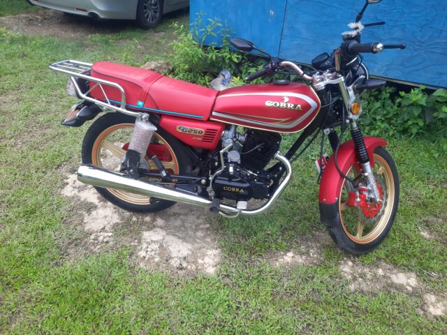 Cobra 250