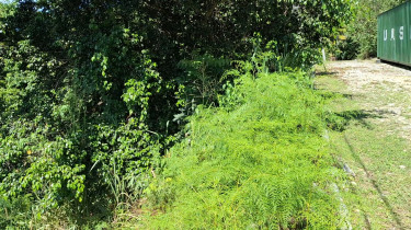 Land For Sale In Swain Spring Rise