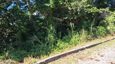 Land For Sale In Swain Spring Rise