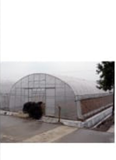 100ft X 30 Ft Greenhouse New