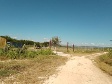 5 Acres Of Land For Sale In Hartland Spanish Town