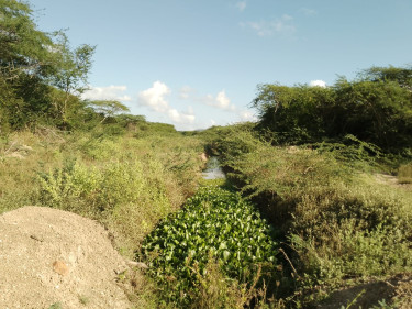 5 Acres Of Land For Sale In Hartland Spanish Town