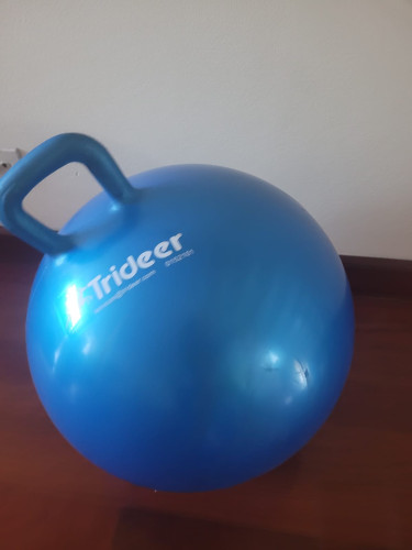 Gym Exercise Ball