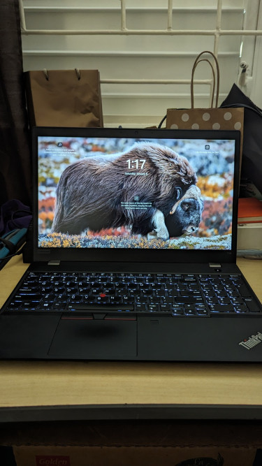 Lenovo ThinkPad T15