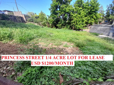PRINCESS STREET 1/4 ACRE FOR LEASE USD$1200/MONTH