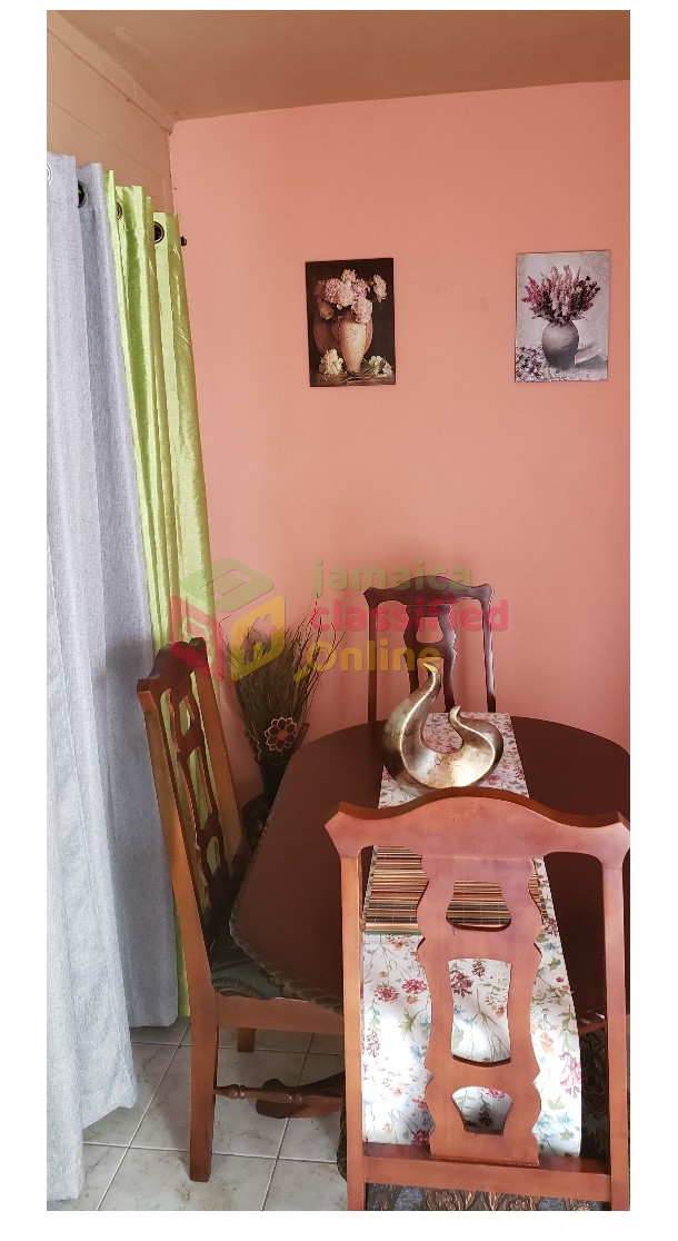 2 Bedroom Furnished House For Rent - Spanish Town