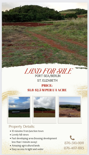 1/4 ACRE Of Land 