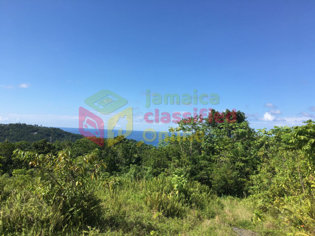 40 Acres Of Land