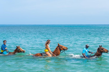 Ultimate Adventure Tour Package In Jamaica