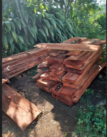 Dry Cedar Boards For Sales