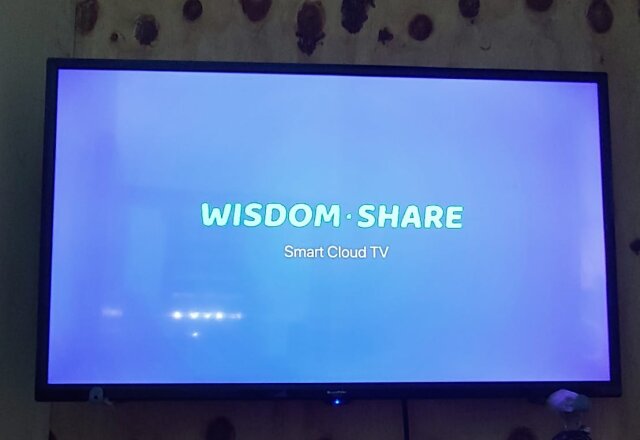 Smart Flat Screen TV