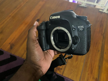Camera Gears