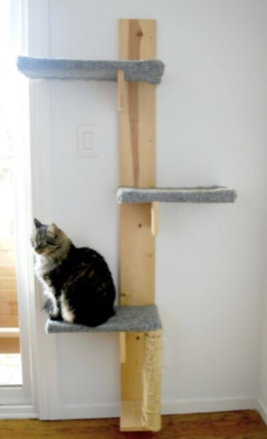 Cat House Posts For Sale
