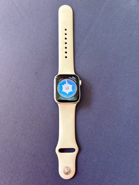 APPLE WATCH SERIES 8 GPS And CELLULAR 41mm