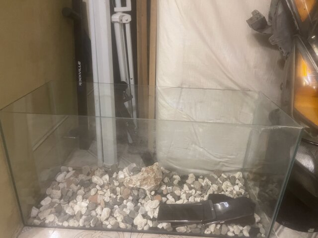 Fish Tank For Sale