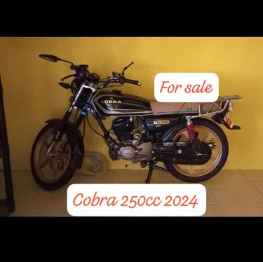 2024 Cobra 250cc 