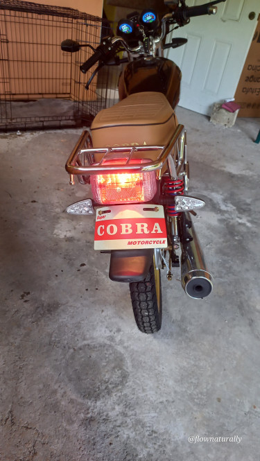 2024 Cobra 250cc With Fitness