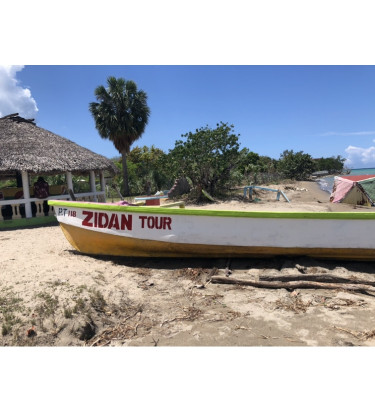 29ft Fibreglass Boat