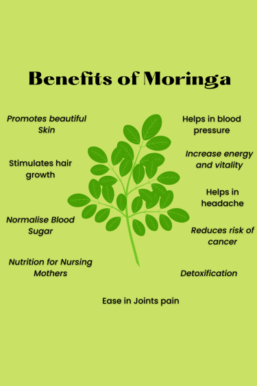 Moringa Seeds And Leaves