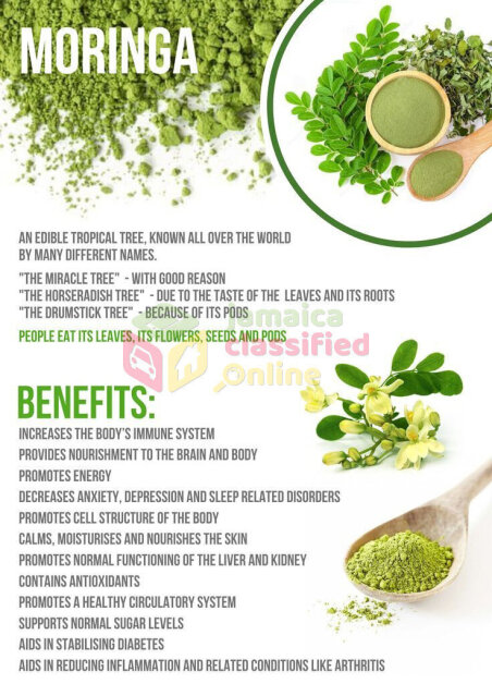 Moringa Seeds And Leaves