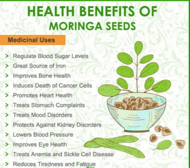 Moringa Seeds And Leaves