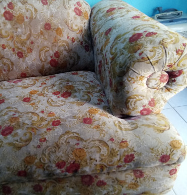 Used 2 Seater Sofa For Sale