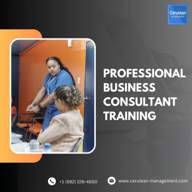 Professional Business Consultant Training