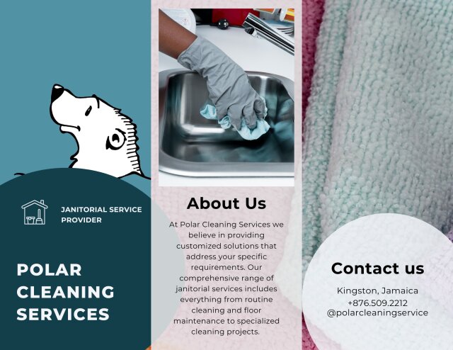 Polar Cleaning Services